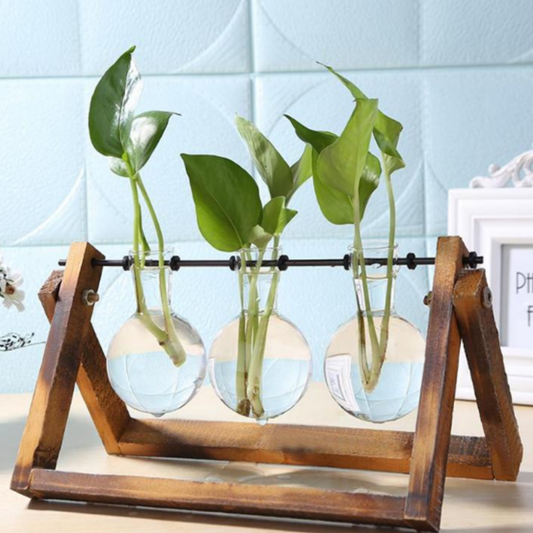 Glass Hydroponics Table Planter Stand