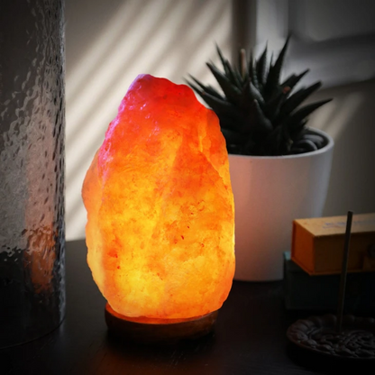 Rock Salt Themed Lamp – Handi-Carved Humidifier