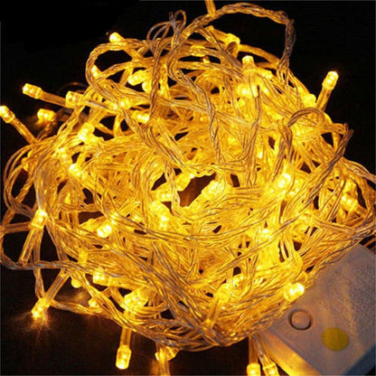 LED Christmas Lights